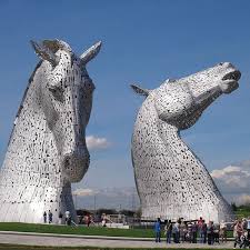 Image result for Scottish Equi Complex