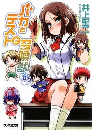 「吉井玲 バカとテストと召喚獣」の画像検索結果