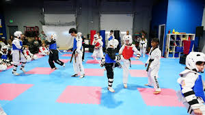 Image result for Park's Martial Arts Coral Springs