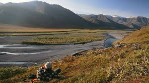 Image result for Clyde Valley Predators