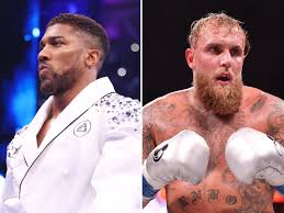 Image result for Aj Independent Martial Arts