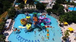 Image result for Dolphin Sub Aqua