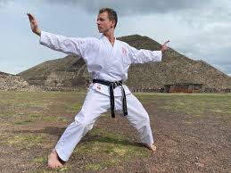 Image result for Plymouth Karate Club Kyokai