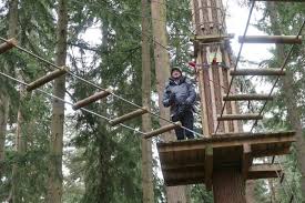 Image result for Go Ape! Thetford