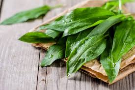 Image result for Bärlauch