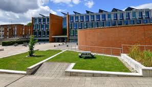 Image result for University Of Sussex