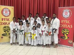 Image result for Cobra Karate Club