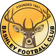 Image result for Southampton Stags