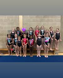 Image result for Charisma Gymnastics Club