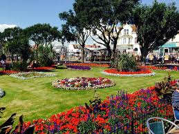 Image result for Clacton On Sea Cricket Club