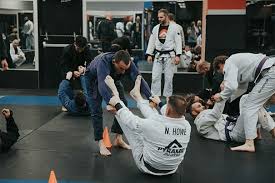 Image result for Pyramid martial arts