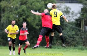 Image result for Harbertonford A F C