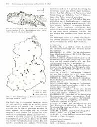 Attēlu rezultāti vaicājumam “Proutia betulina”