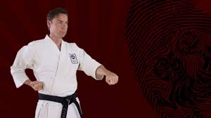 Image result for ZOKU SHOTOKAN KARATE (Baldock)
