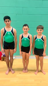 Image result for Sutton School Of Gymnastics