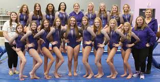 Image result for Angmering Gymnastics