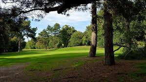 Image result for Central London Golf Club
