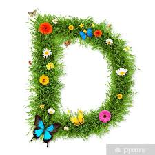 Image result for  d   @  