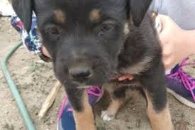 Image result for site:buyreklama.ru/*