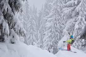 Image result for Sunday Rollerstroll