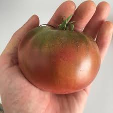 Afbeeldingsresultaat voor carbon tomato