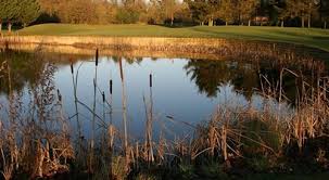 Image result for Chipping Norton Golf Club