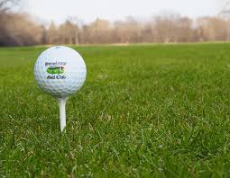 Image result for Stonehenge Badminton Club