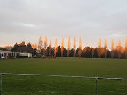 Image result for Cobham Sports Association Ltd