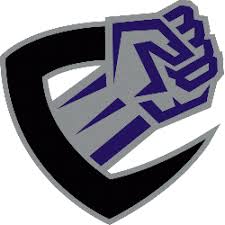 Image result for Enforcers