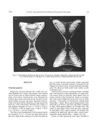 Image result for Dasyatis chrysonota