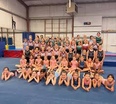 Image result for Pegasus Trampoline Club