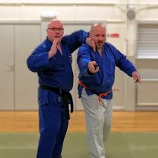 Image result for Bushin Kenpo Kai Schools