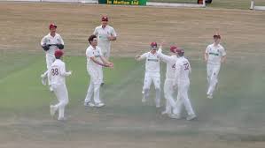 Image result for South Wilts Cricket Club