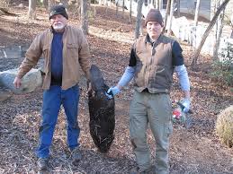 Image result for Beaver Sc