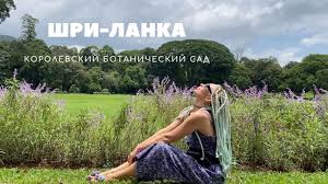 Image result for шри ланка королевский ботанический сад