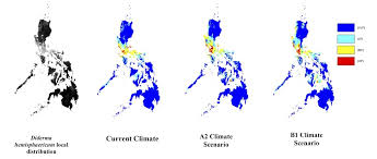 Attēlu rezultāti vaicājumam “Diderma hemisphaericum”