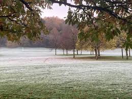 Image result for Reigate Priory Bowmen