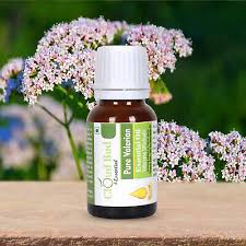 Attēlu rezultāti vaicājumam “Valeriana officinalis bud”