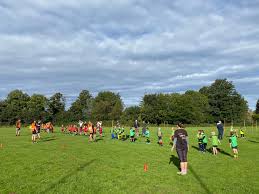 Image result for Effingham and Leatherhead Rfc