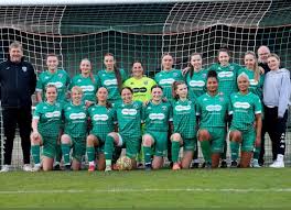 Image result for Leatherhead Football Club