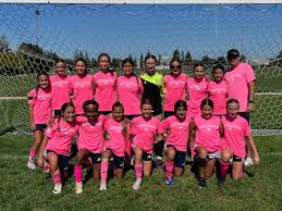 Image result for Revolution Football Club