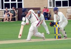 Image result for Long Sutton Cricket Club