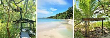 Image result for cahuita costa rica