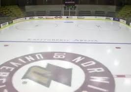 Image result for Norwich City Roller Hockey Club