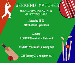 Image result for Woking and Horsell Cricket Club