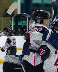 Image result for Haringey Greyhounds Ice Hockey Club