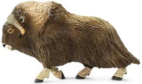 Image result for Mohakenox