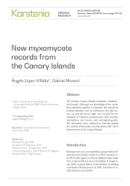 Attēlu rezultāti vaicājumam “Diderma rufostriatum spores”