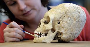 Image result for elongated skulls