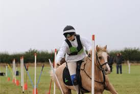 Image result for Abinger Forest Riding Club